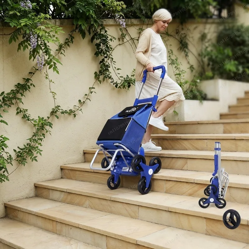 Carrello Elettrico Saliscale P - Outdoor Camping Trolley recensione e prezzo