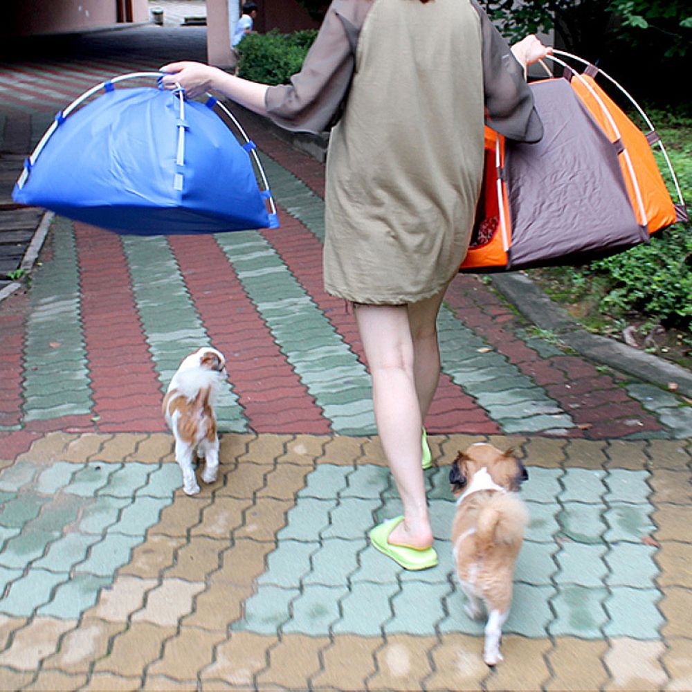 Tenda portatile per cani, idea - Outdoor Camping Dog Bed recensione e prezzo
