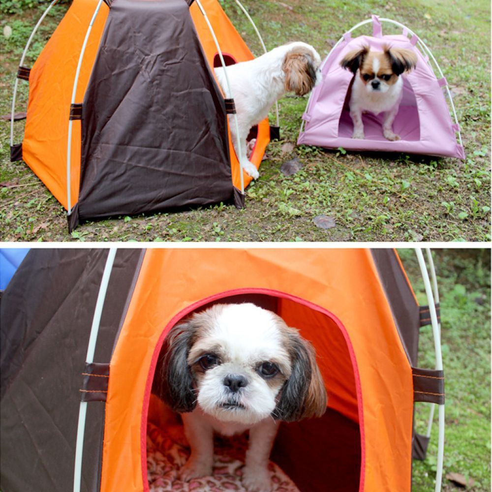 Tenda portatile per cani, idea - Outdoor Camping Dog Bed recensione e prezzo